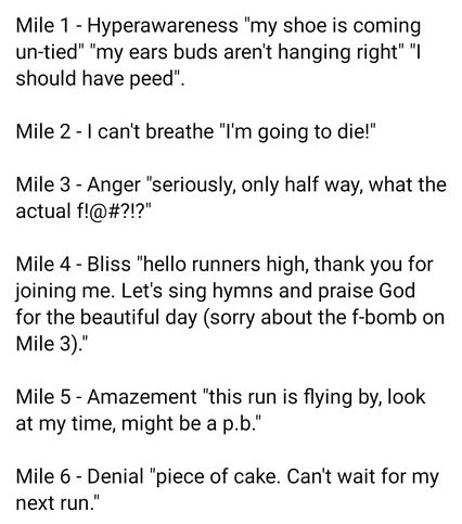 shrinkrap5150's tweet image. Jay's Fall Running Guide 🍂🎃🏃‍♂️👟🎽🎃🍂

#running #fallrunning #pnw #brooks #garmin