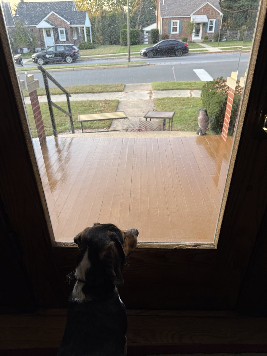 It’s been a tough day pals! My 2 bestest frends were outside without me! I lovers my dad and my uncle! Tell them I’m good helper, just ask mom! 😆🤣😆