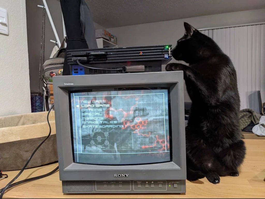 crt_bot2's tweet image. 