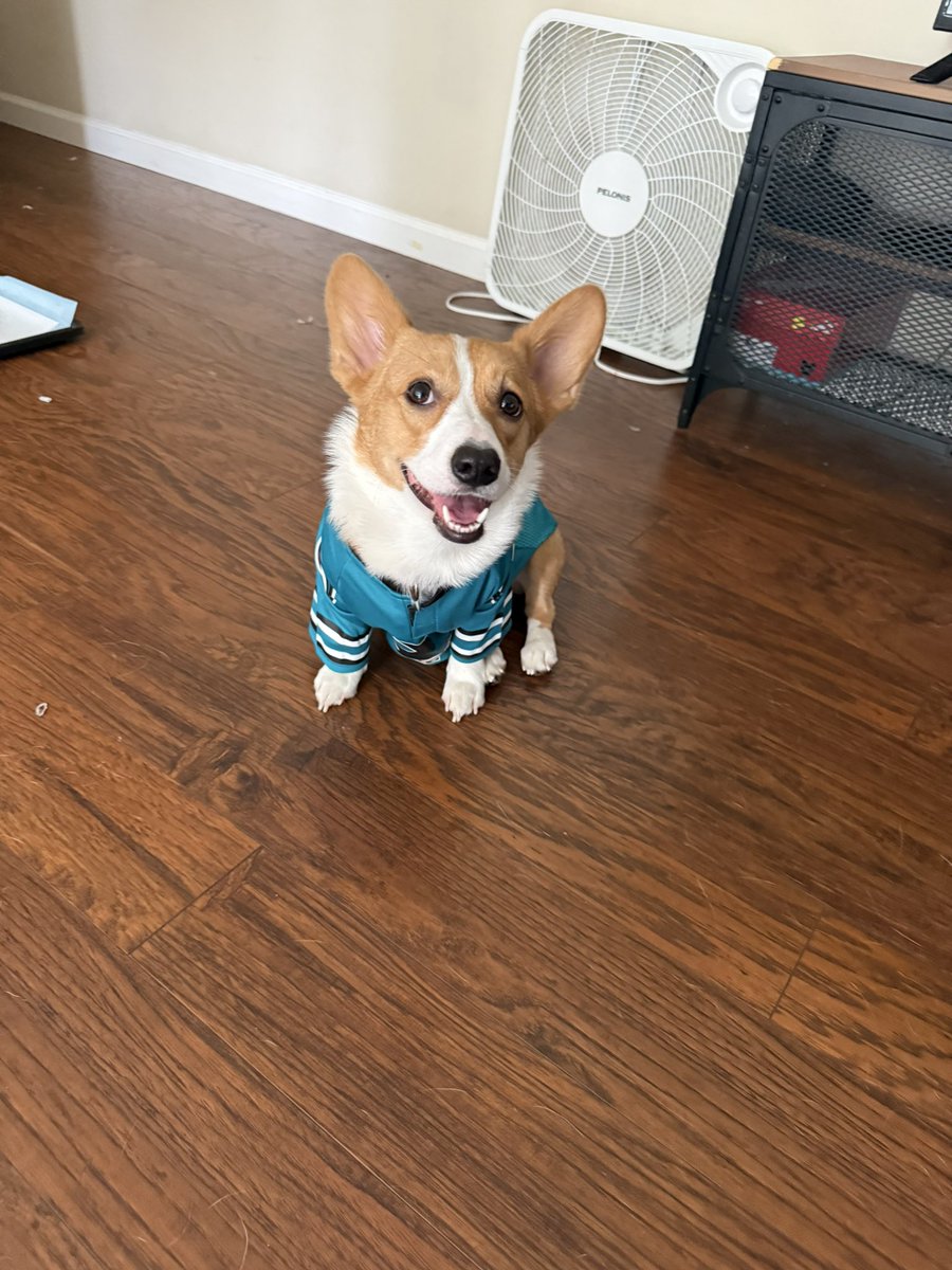 <a href="/4amxx/">︎6</a> fourgiev