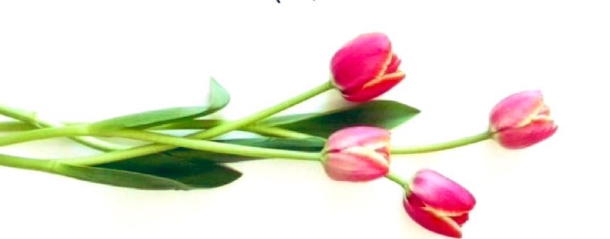 ٠

  اللَهُمَّ …

بَشَرْنَا بِكُلَّ دَعْوَةِ تَسْكُنُ قلوبَنَا 

٠

 #بسمه