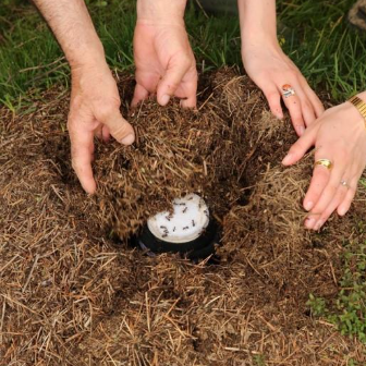 CellPressNews's tweet image. Making #yogurt with ants from a nearly forgotten Bulgarian recipe. cell.com/iscience/fullt…

Veronica M. Sinotte, Leonie J. Jahn &amp;amp; colleagues
@iscience_cp