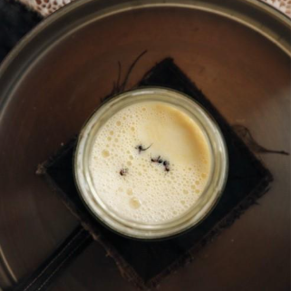 CellPressNews's tweet image. Making #yogurt with ants from a nearly forgotten Bulgarian recipe. cell.com/iscience/fullt…

Veronica M. Sinotte, Leonie J. Jahn &amp;amp; colleagues
@iscience_cp