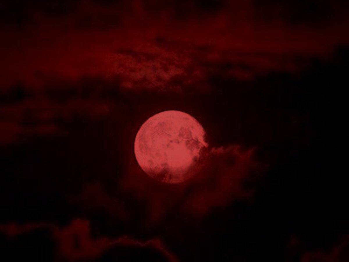 purpleaieni's tweet photo. #Hyunho au!¡🔞 Blood Rite 🦇
Para se tornar um vampiro por completo, Hyunjin precisa fazer um rito de passagem, que, com algumas especificações, precisa beber o sangue por completo de uma pessoa. +
#Holyween https://t.co/PBqkMpqIjT