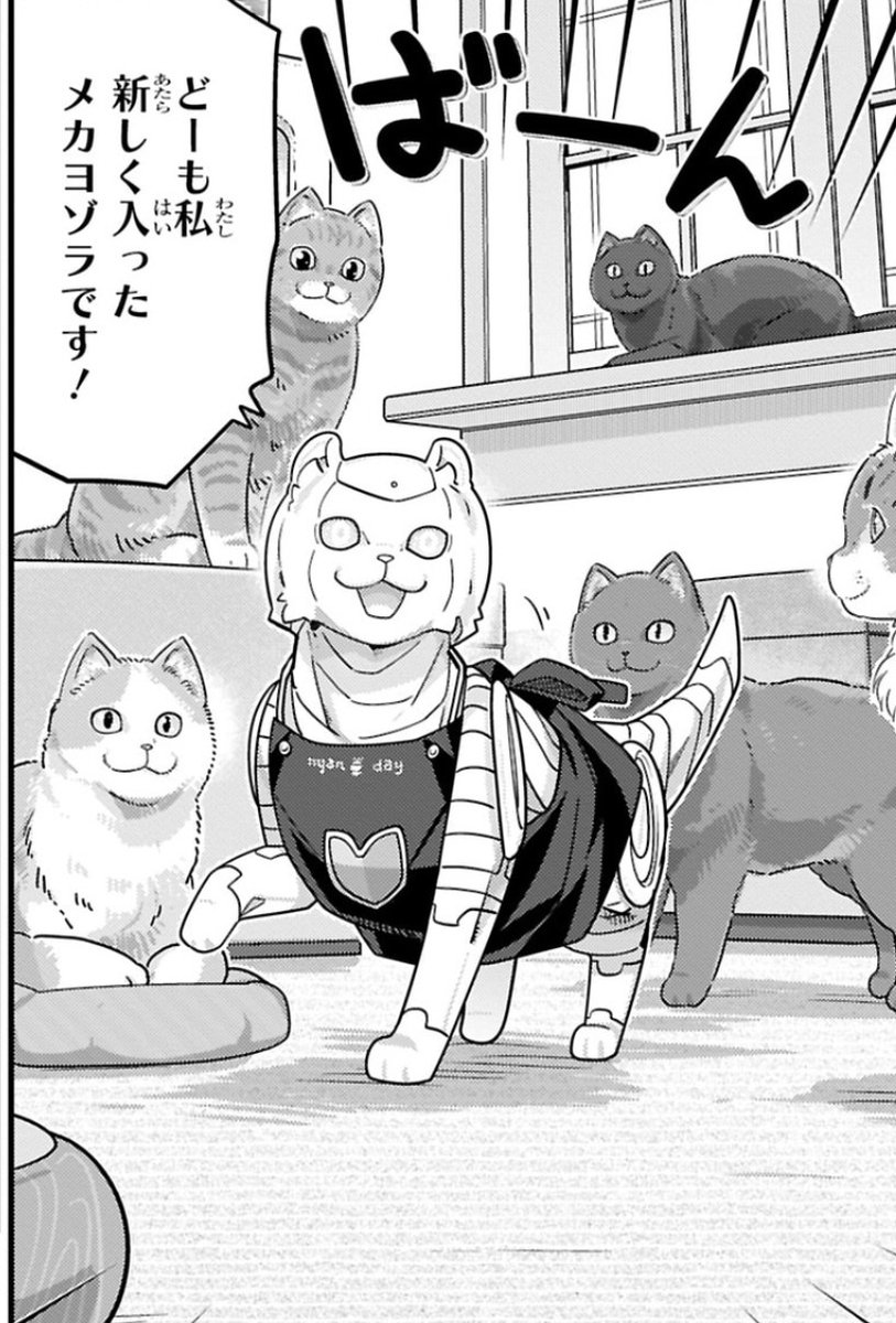カワイスギクライシス』12巻発売中です！ 野良猫に会いに行ったり