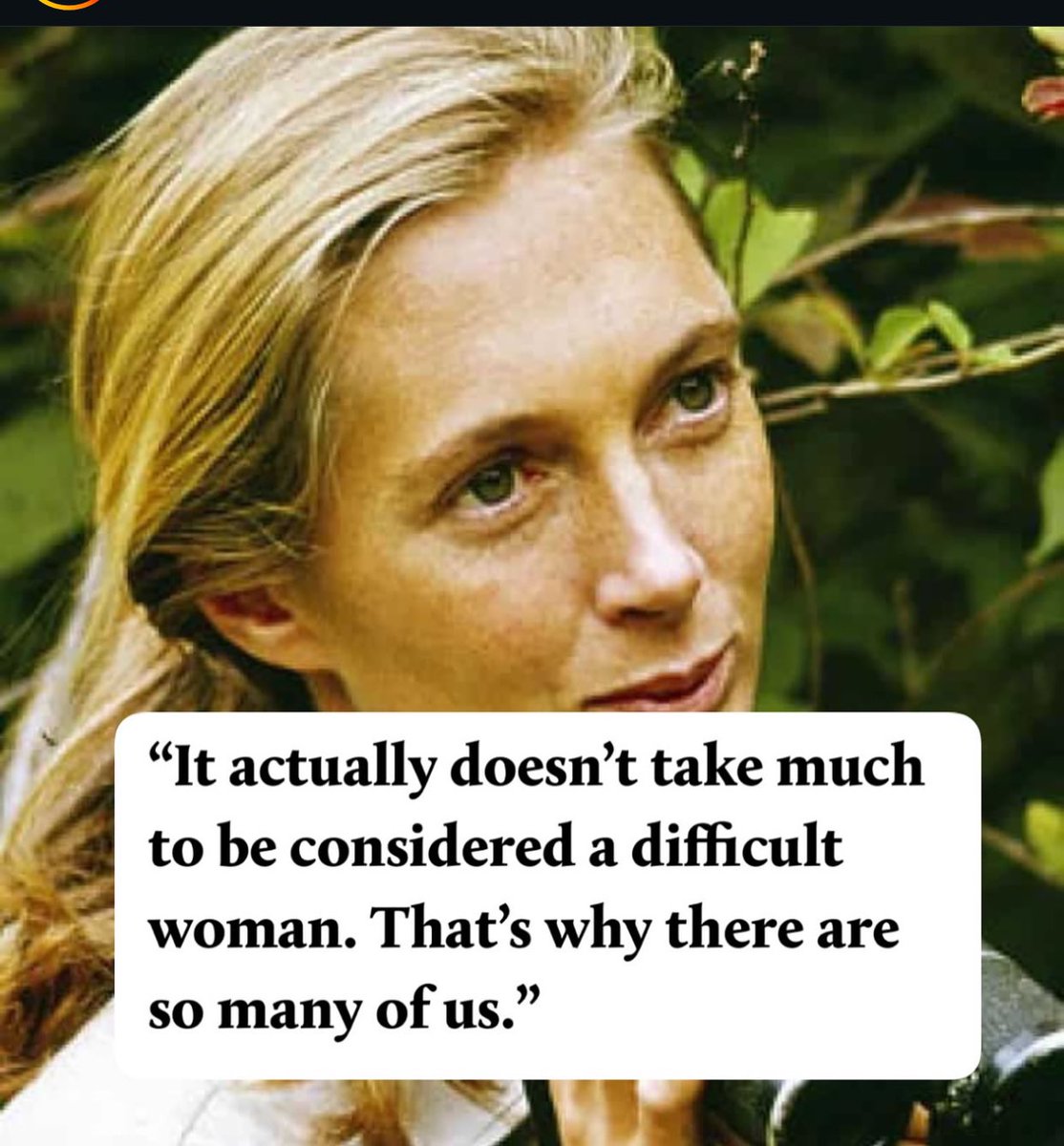 Kuduishe Kisowile tweet media