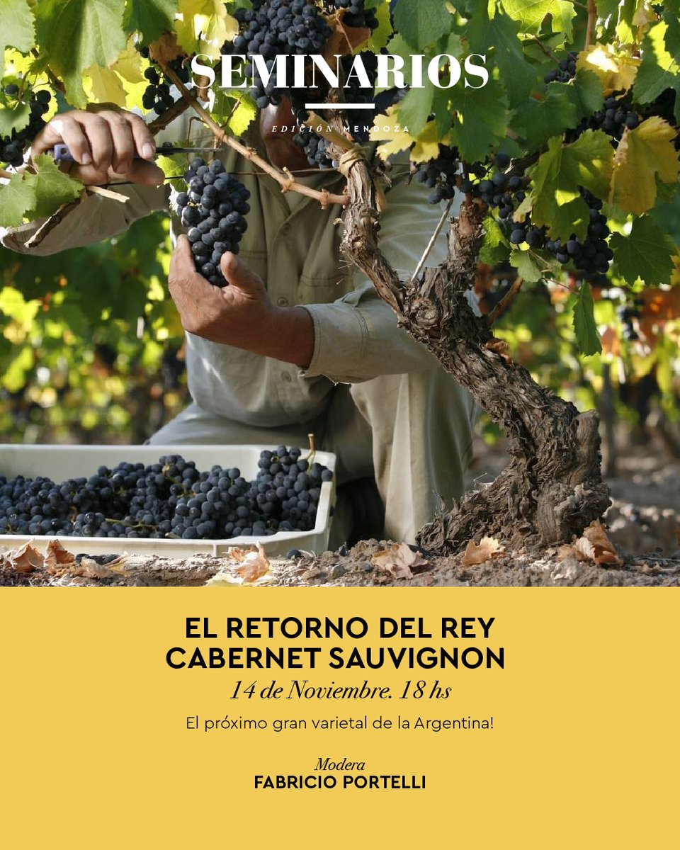 Premium Tasting tweet media