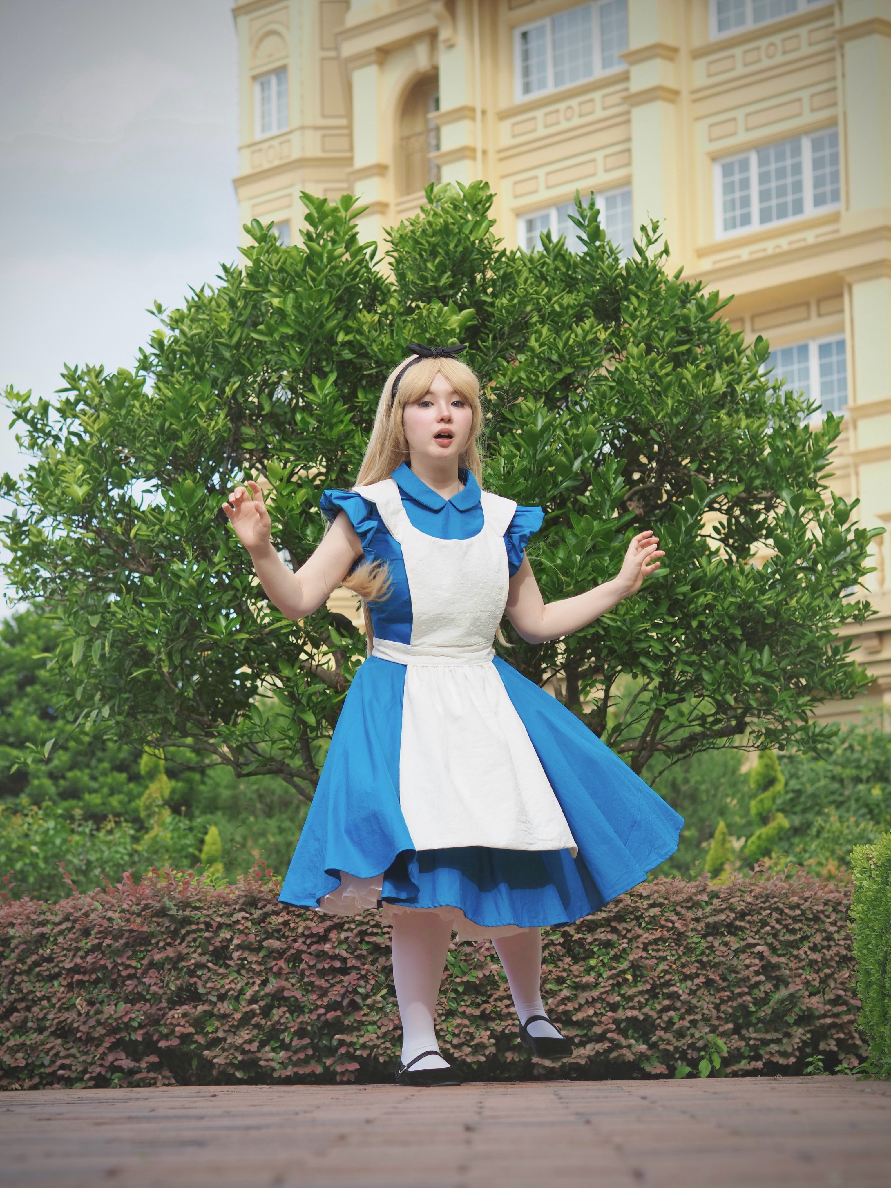 アリス Dハロ 衣装 🌹❤️🖌️ #dハロ仮装2023 #Halloween #ハロウィン#Alice