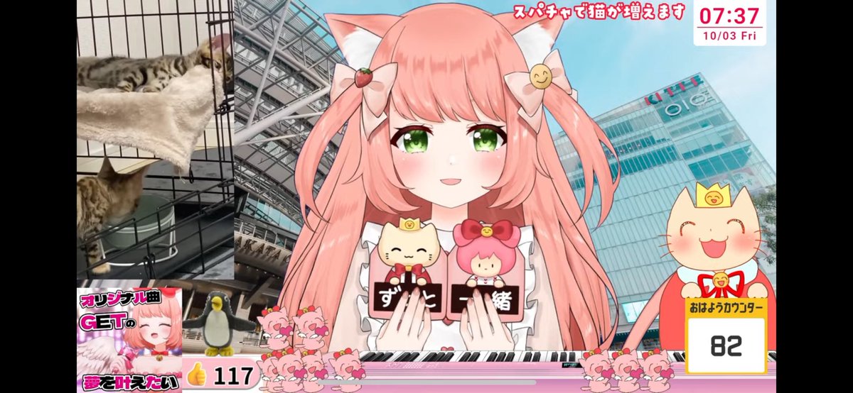 ゆっきん ゆっきん【博多弁猫Vtuber】 yukkin - - YouTube