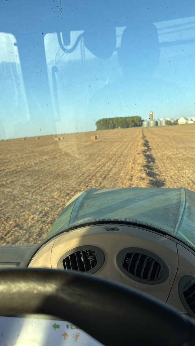 Stine Feeder (@twass91) on Twitter photo 