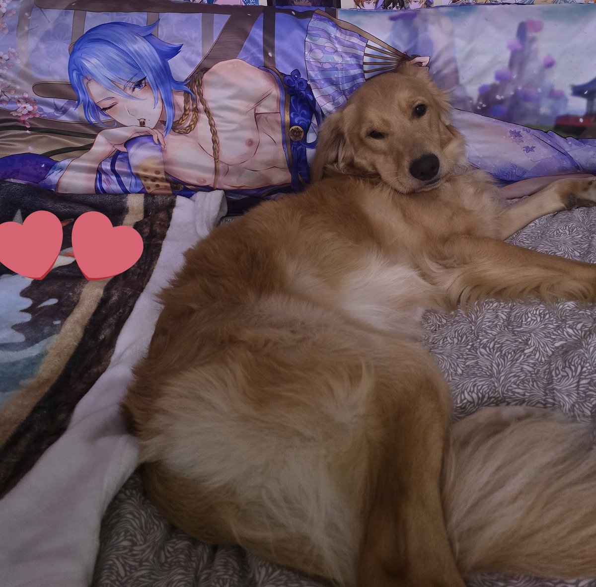 AR4TAKIONI's tweet image. this  dog  has  been  hogging  my  aniki  all  day.   unacceptable.   😡😡😡😡😡😡😡😡😡😡😡   what  do  you  have  to  say  for  yourself,   @CYPRXSSUSCUST0S .ᐣ.ᐟ