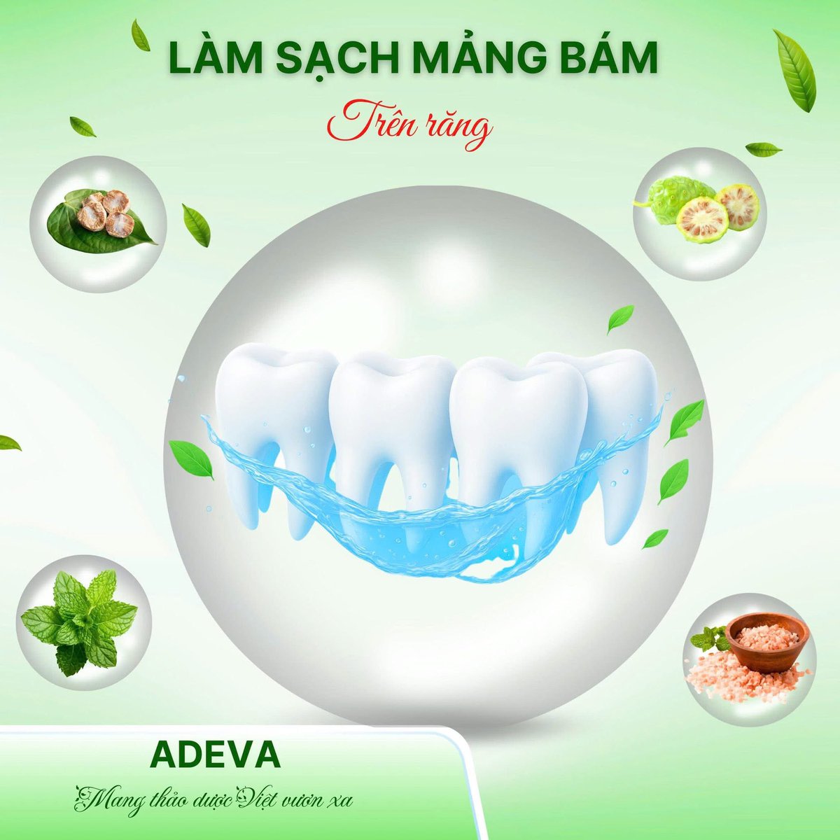 ngochuyen_vt's tweet photo. Bạn kem đánh răng thảo dược làm nên thiên hiệu Adeva
💫Type 50gram 59k
💫Type 100gram 95k 

👉Hợp tác với nhà thuốc,mẹ và bé, tạp hóa, đại lý toàn quốc đơn vị thùng zá tốt. 

❇️Sỉ - lẻ IB 0908817889 Huyền Nguyễn 
#AdevaNoni https://t.co/ucTObTcEVd