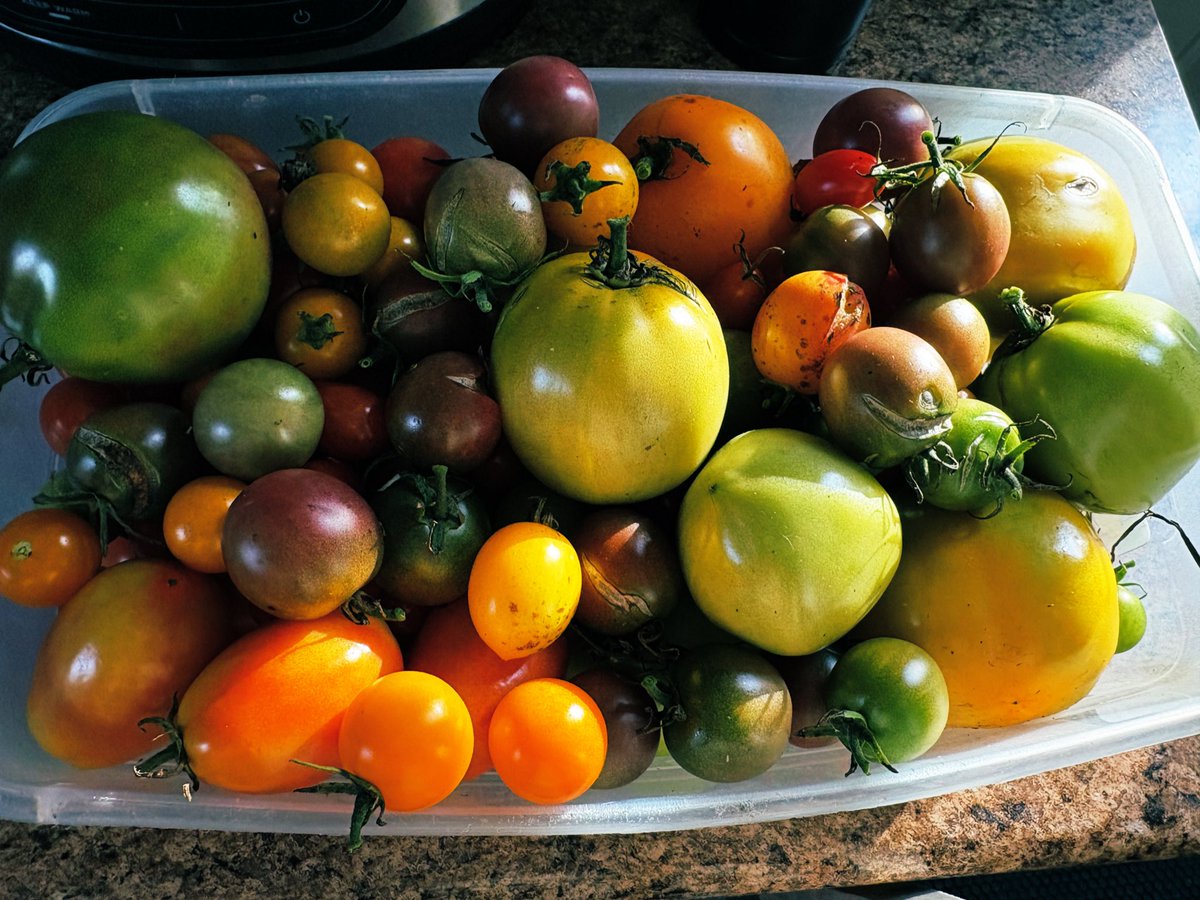 Cassie Cynical🐩 tweet media