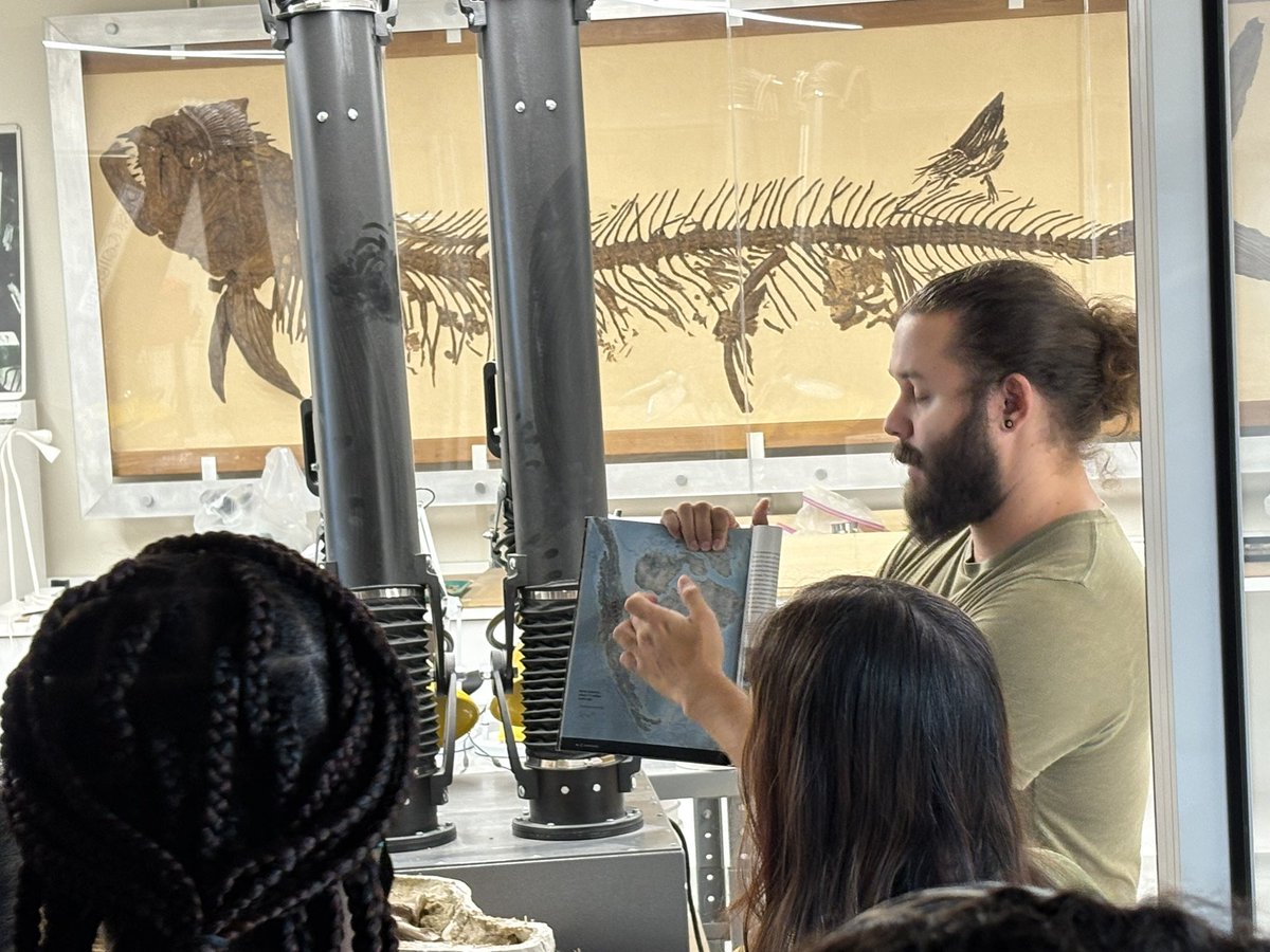 Mayra Hernandez tweet media