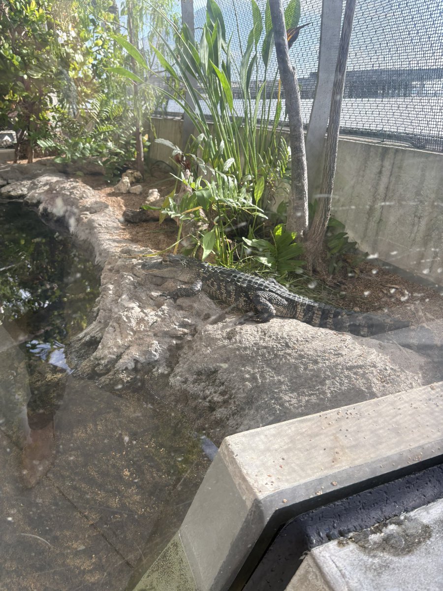 Mayra Hernandez tweet media