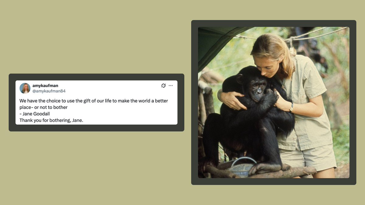 PlasticsBeyond's tweet image. “We have the choice to use the gift of our life to make the world a better place—or not to bother” —Jane Goodall

Thank you for bothering, Jane.

CRED: @amykaufman84 on X