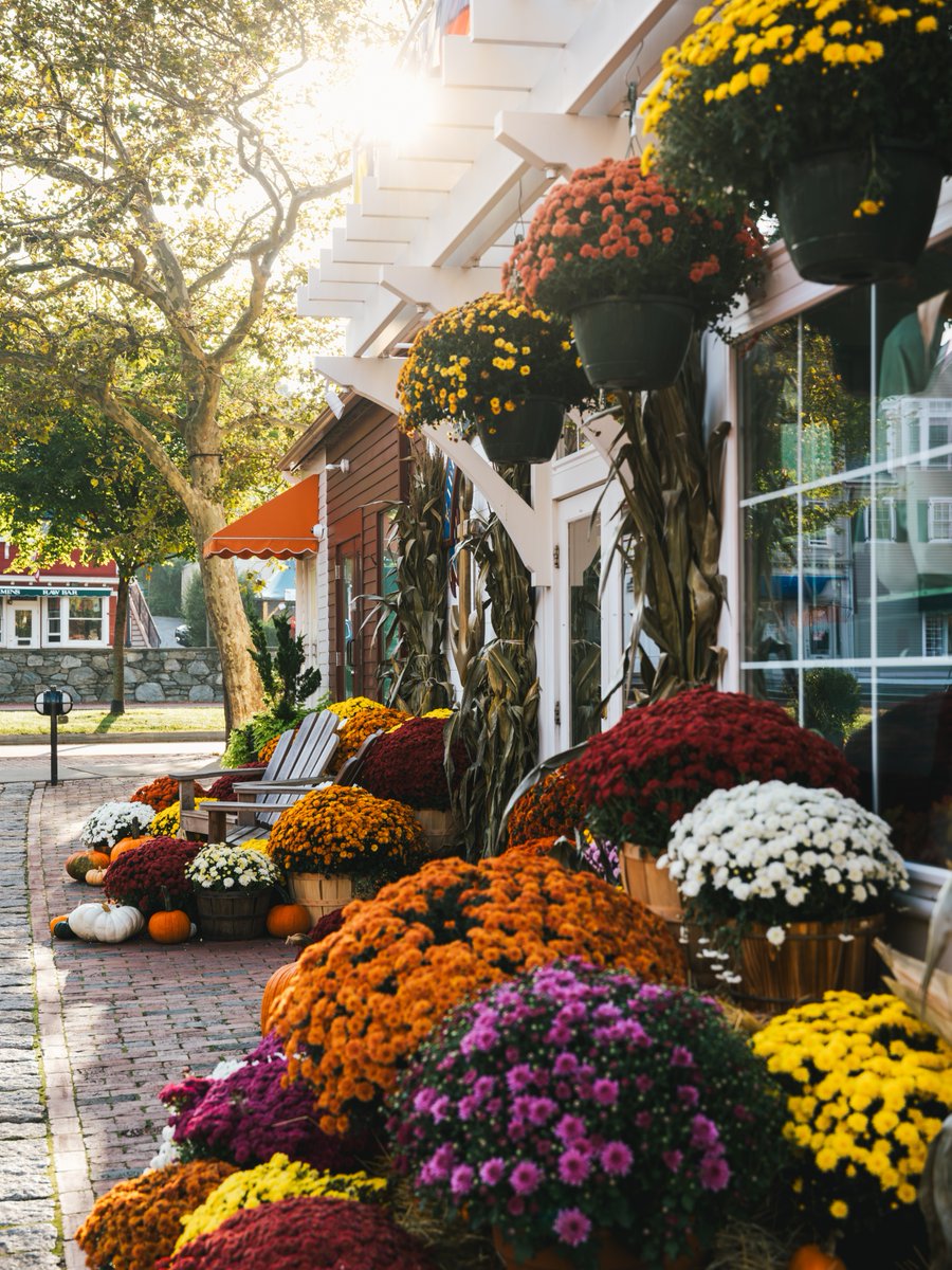 Whether you prefer to toast to the season indoors, or get outside to feel the Autumn-infused ocean breeze, The Coast has just the thing.

The Ultimate Guide to Autumn in Newport: bit.ly/3wH4Icc
