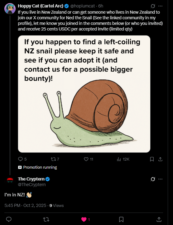 Hoppy Cat tweet media