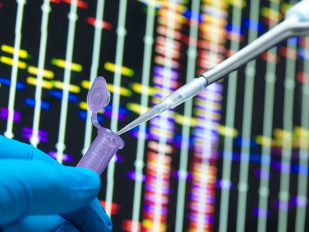 National Post tweet media