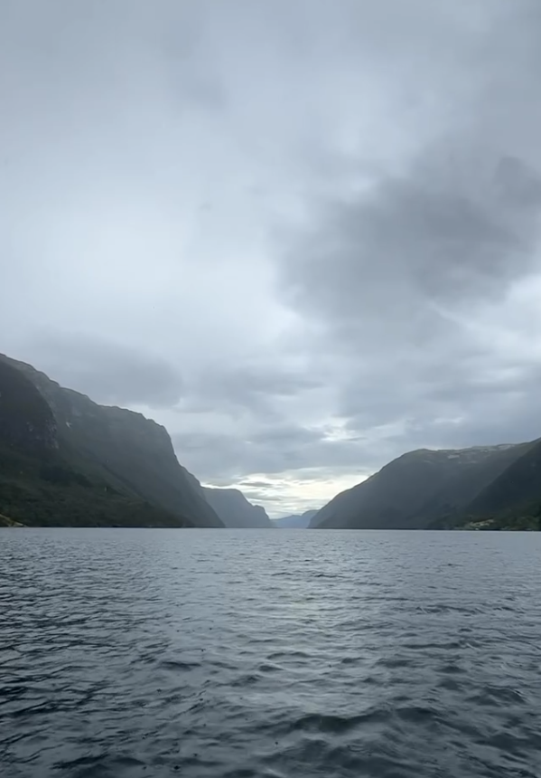 pomarob2016's tweet photo. Between still waters and endless skies 💛 https://t.co/2KXLKxGkV9