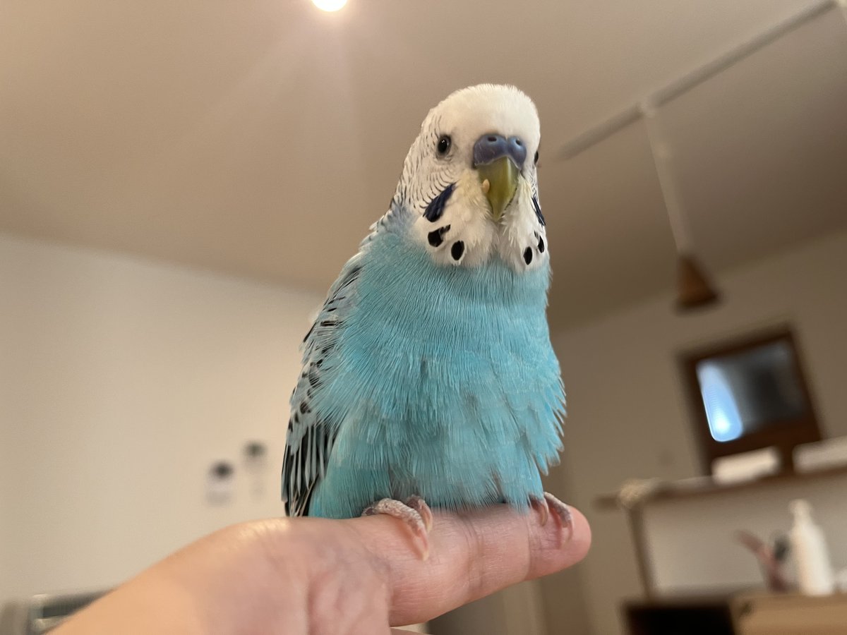食後のなっちゃん☀️
