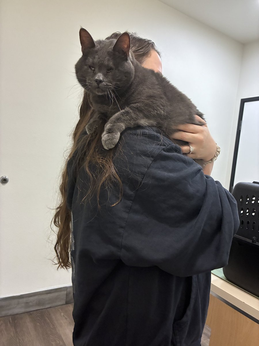 Miss Nope (◕‿◕✿)💕 tweet media