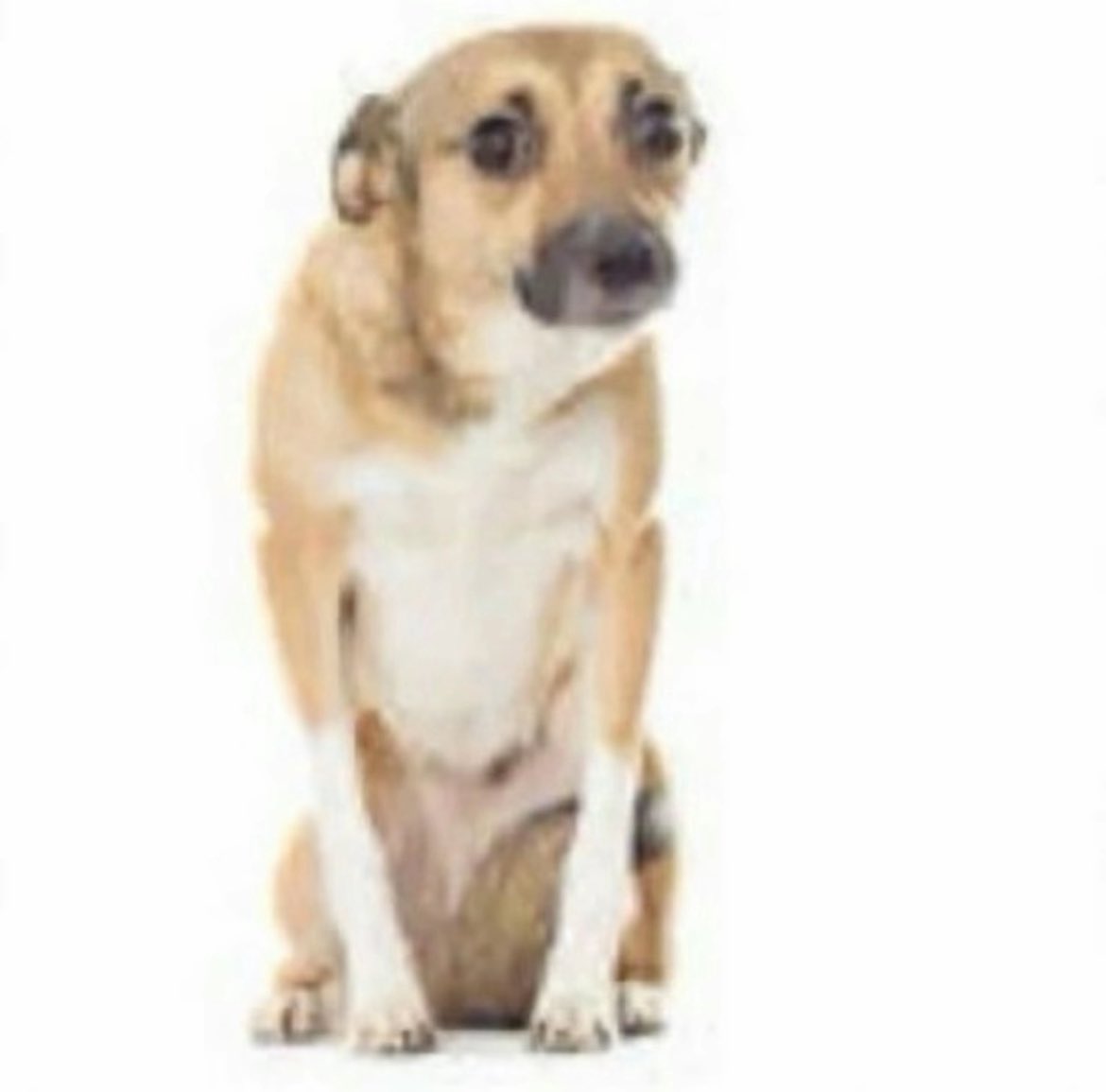 ickclips's tweet image. how I feel checking ebay every five mins to see if my haikaveh namecard code came in