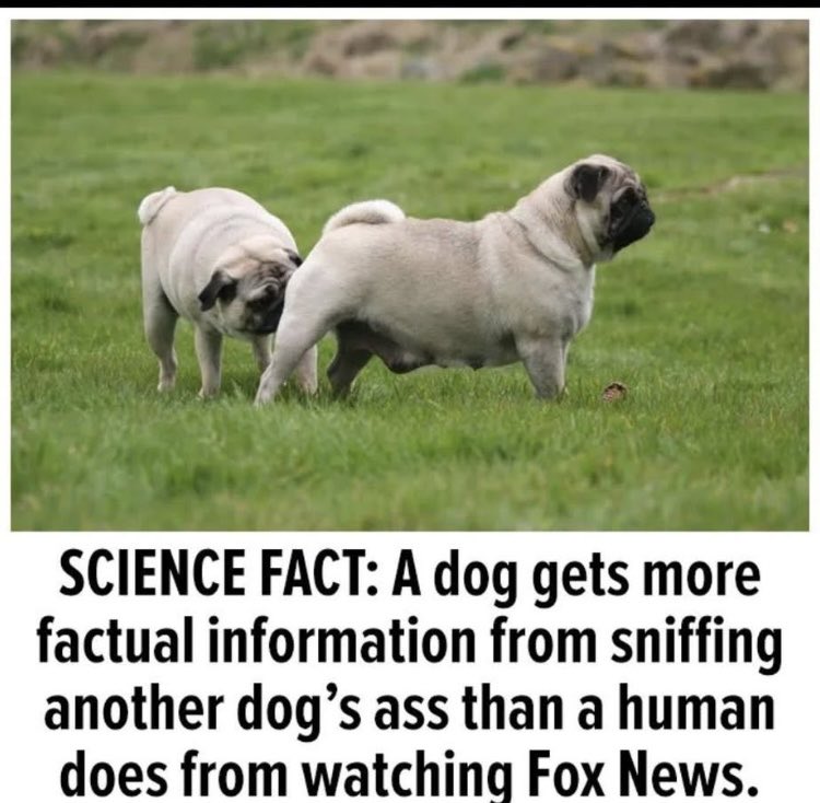 Suzierizzo1's tweet image. This is so true! 👇👇👇👇