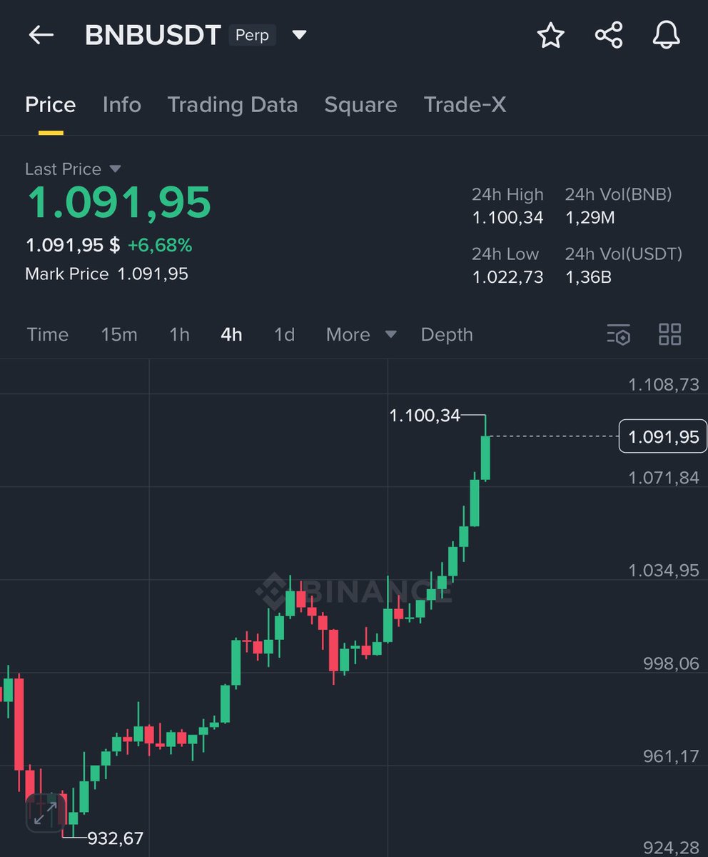 Turtle Commandant tweet media