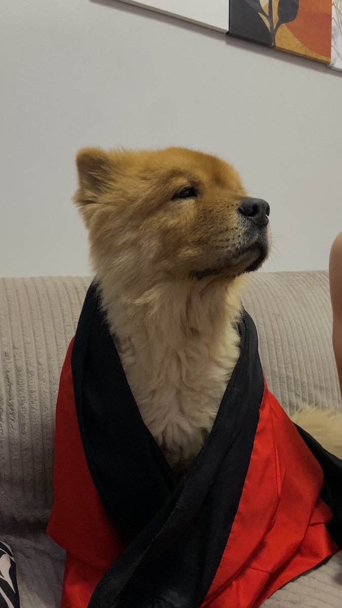 chello todo posturado com a bandeira do mengo