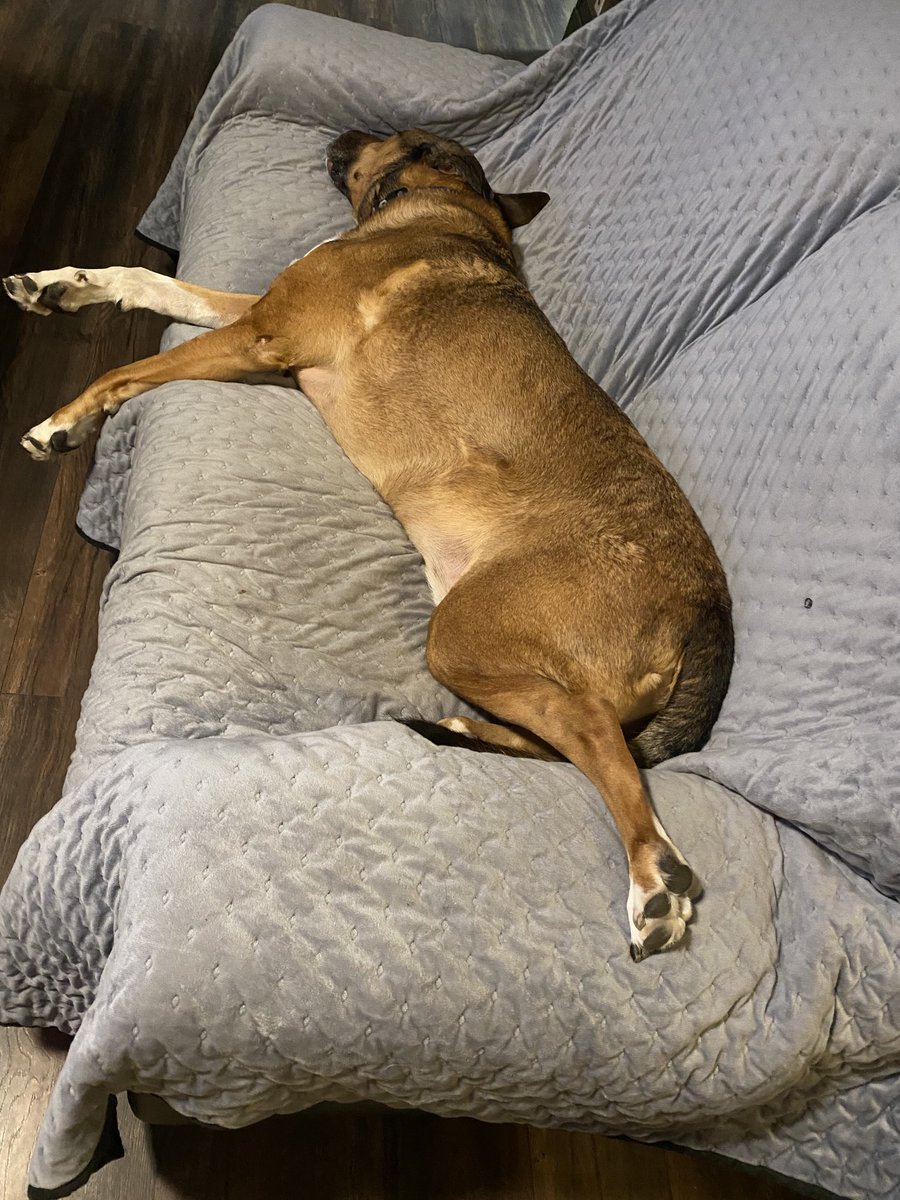 NiceGuyEricFitz tweet media