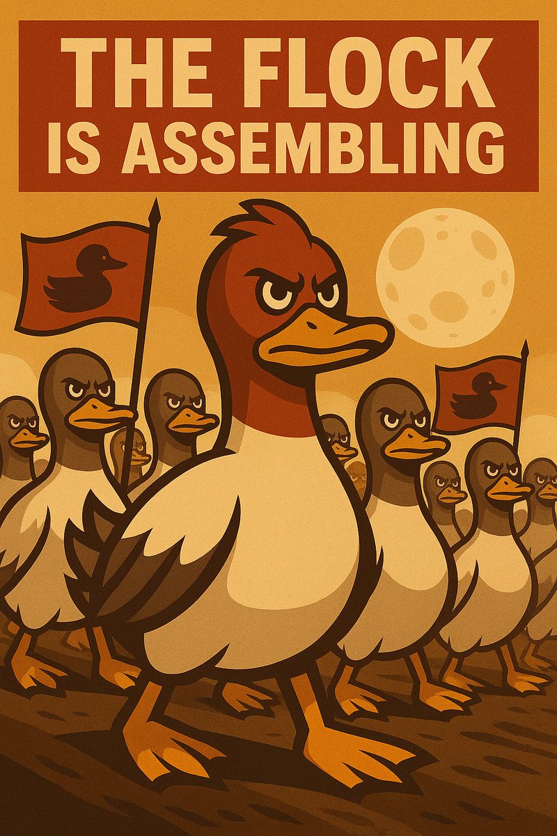 QuackCointx's tweet photo. “🦆 Flock alert 🚨” 
They have assembled!!!! The time for a stand is now!!! Join the Flock Dynasty and rise to the top! The Flock is ready to take over the market tonight! #Quackcointx #TheFlock #FlockAlert🚨🦆 https://t.co/QOZ59ITaks