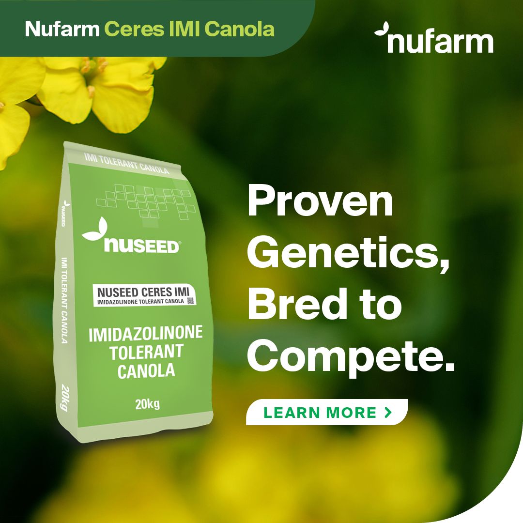 NufarmSeedsAU's tweet image. 🌱 Ceres IMI devliers dependable early maturity with competitive yield &amp;amp; excellent oil. Strong vigour &amp;amp; harvest ease make it a proven IMI hybrid #canola.
 Learn more 👉 bit.ly/NuseedCeresIMI
#NufarmSeeds #Nufarm #Canola26