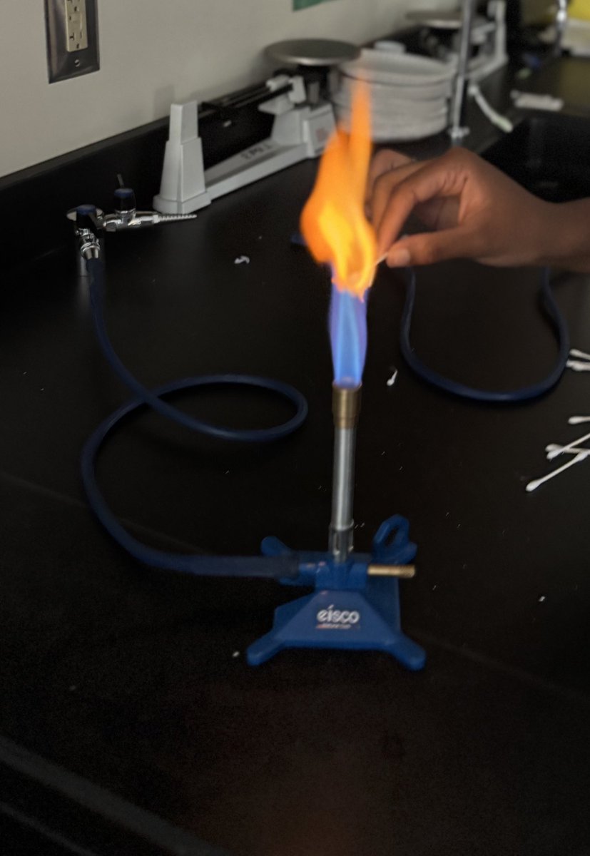 Coach Hardwick’s Science Corner tweet media