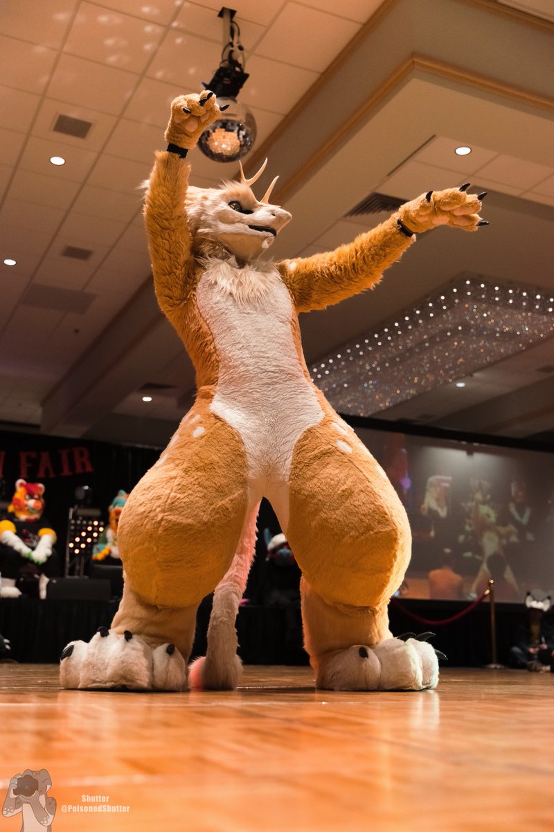 JackTheDeergal's tweet image. Oh yeah baby, I got thighs for DAYS
📸 @PoisonedShutter
