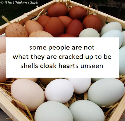 iam_ginghs's tweet photo. some people are not
what they are cracked up to be
shells cloak hearts unseen
#PJJournal #prompt 03 #eggs
#WritingCommunity #seryu
Image: Pinterest https://t.co/rIx7wGrU7w