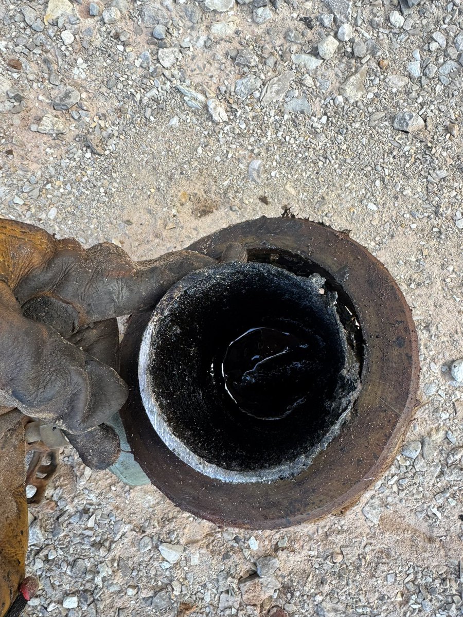 Marshall Hall tweet media