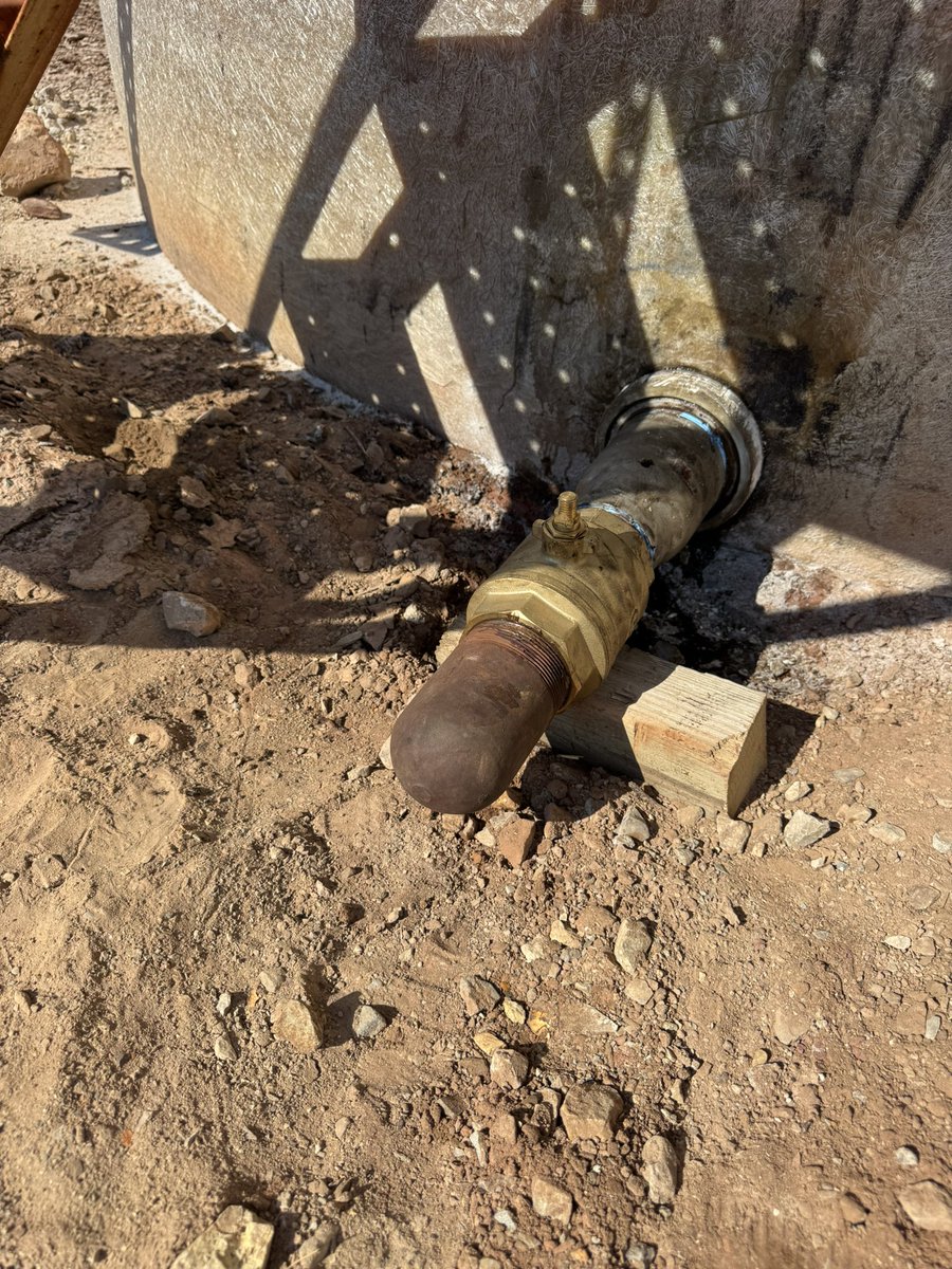 Marshall Hall tweet media