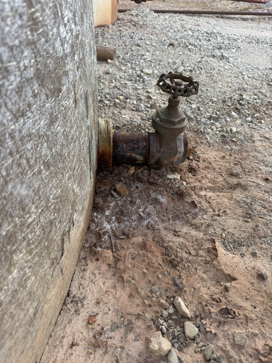 Marshall Hall tweet media