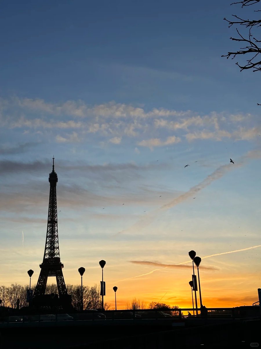 halisumar's tweet image. Autumn whispers in the air, painting the world in golden hues 🍂🍁 Embracing the crisp breeze and cozy vibes