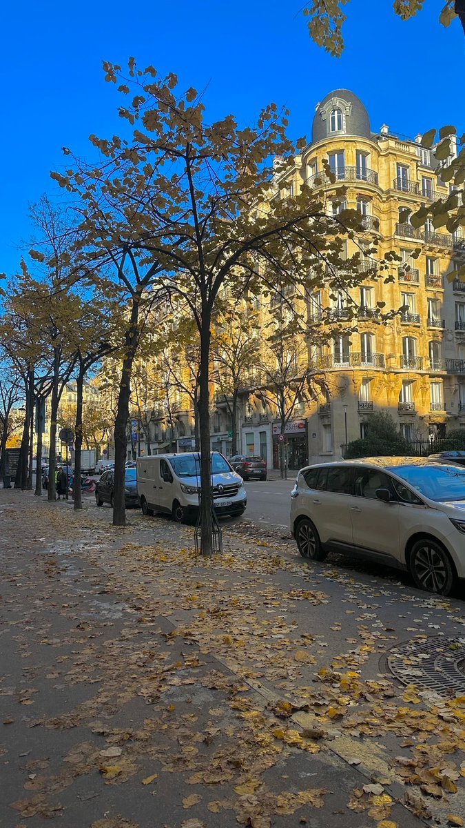 halisumar's tweet image. Autumn whispers in the air, painting the world in golden hues 🍂🍁 Embracing the crisp breeze and cozy vibes