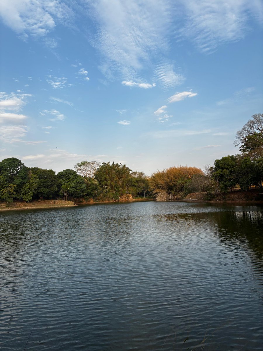 duh em campinas tweet media