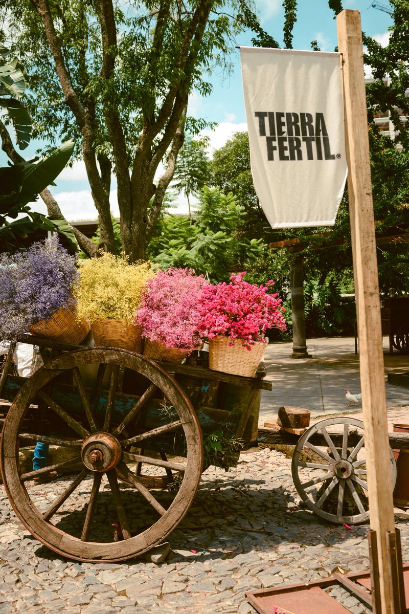 Daniel Posdata ダニエル ゴメス アルバレス tweet media