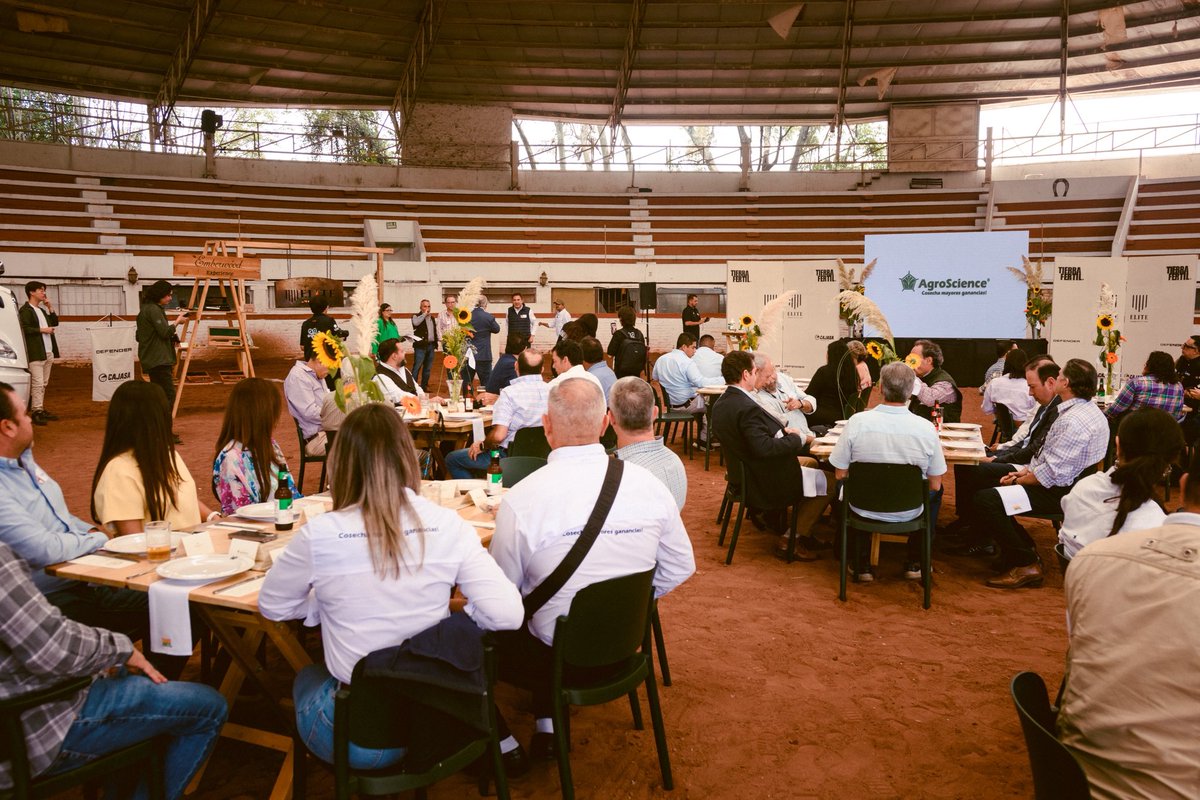 Daniel Posdata ダニエル ゴメス アルバレス tweet media