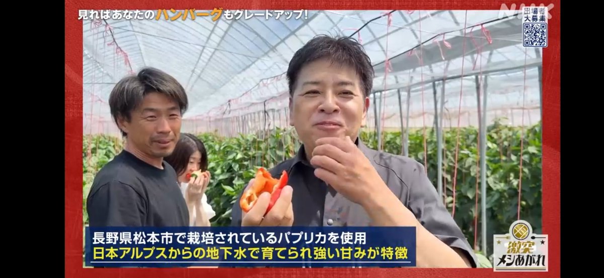 10/1に放送されたNHKの「激突メシあがれ」のハンバーグ対決で、うちのパプリカとパレルモを使っていただきました✨ 作っていただいた土屋さんには、農園にも来ていただいて試食し ていただき使っていただきました😆