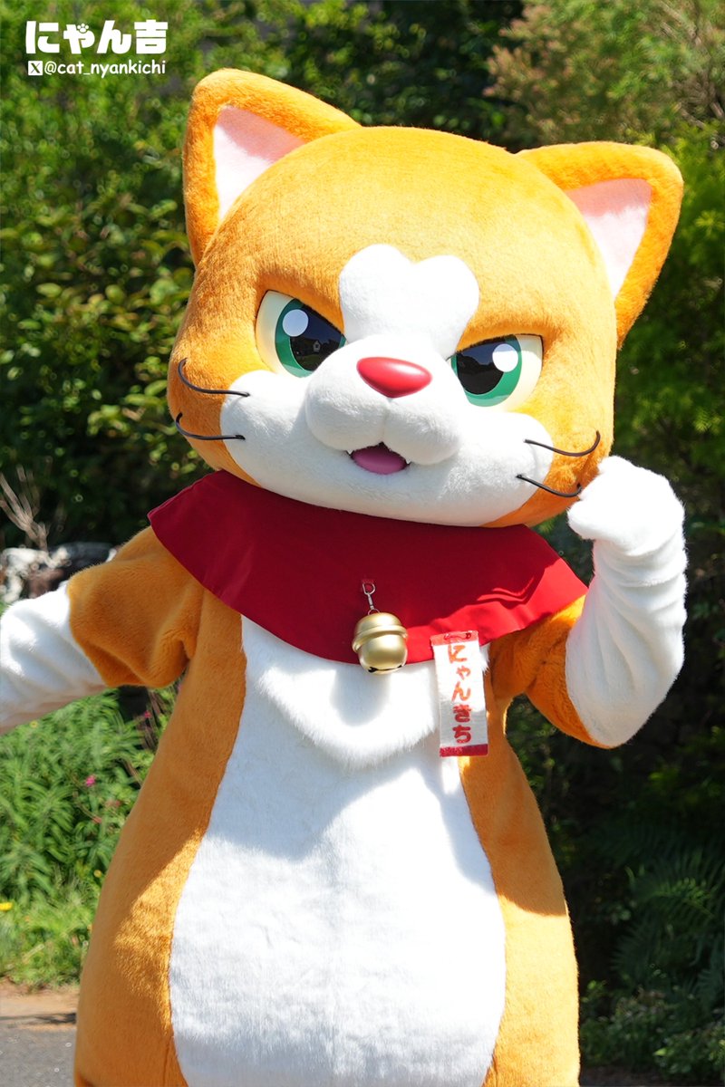 にゃん 楽天市場】にゃんにゃんにゃんこ ぎゅーっとぬいぐるみ