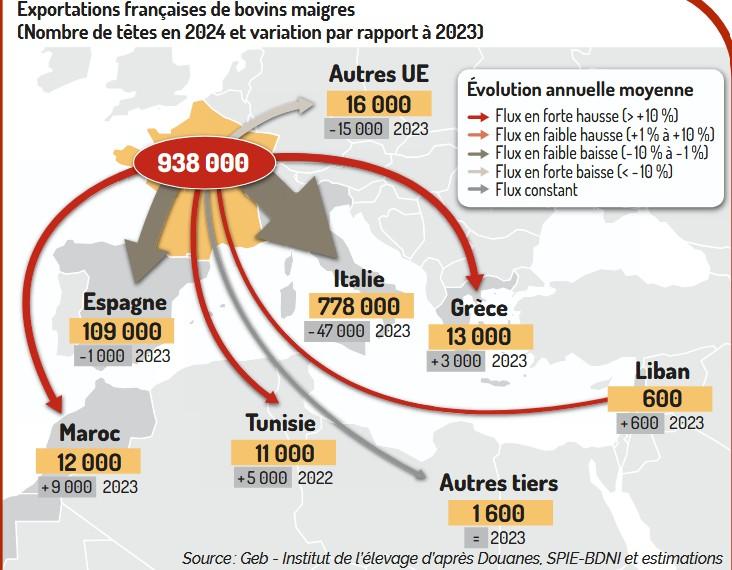 Où ont été exportés les broutards français en 2024 ? dlvr.it/TNRZVb