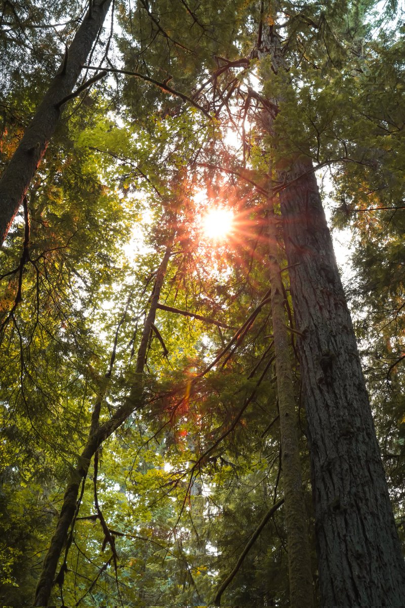 𝗡𝗶𝗵𝗮𝗿 𝗗𝗲𝘀𝗮𝗶 MD, DM tweet media