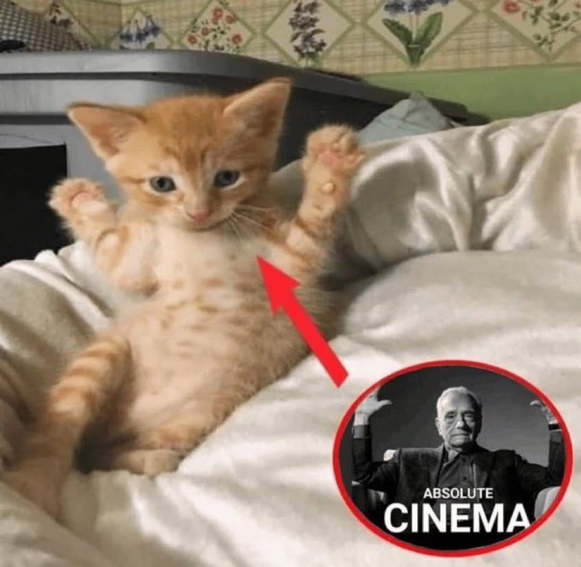 Marc Lesan (@marc_lesan) on Twitter photo 