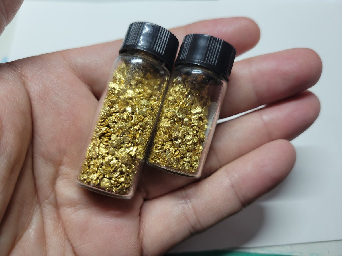 金相場がやはり２万円台を超え、来年には2.5万円を軽く超えるのではと想像する中、自然金は少し大きめの大粒が人気。長期に渡り「砂金の定期購入」をご契約されている方々は先見の目がありますね  #砂金 #自然金 #あおい商店 #砂金の定期購入 #現物資産